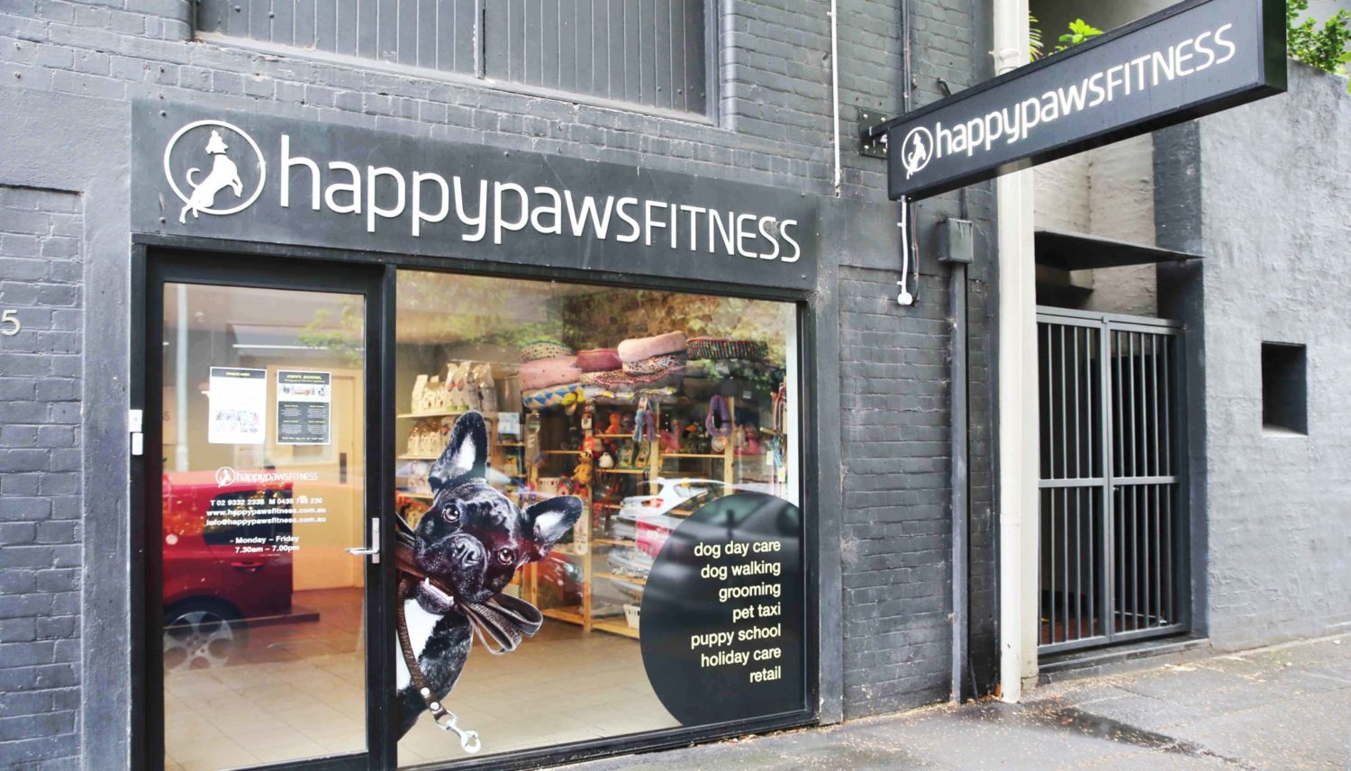 Timely customer Happy Paws Fitness offers full-service doggy daycare for pet owners in Sydney, Australia.