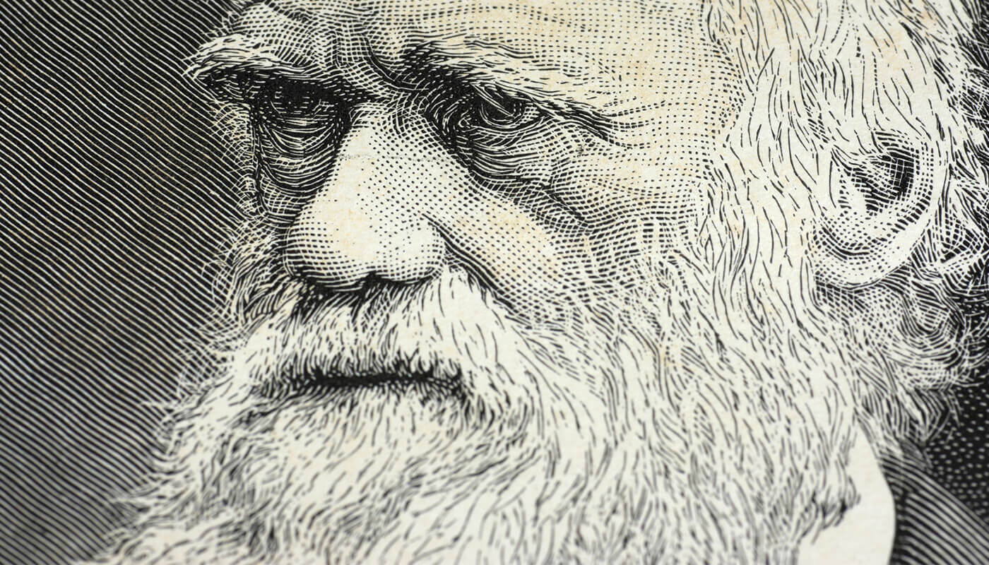 What Darwin Knew About Work-life Balance